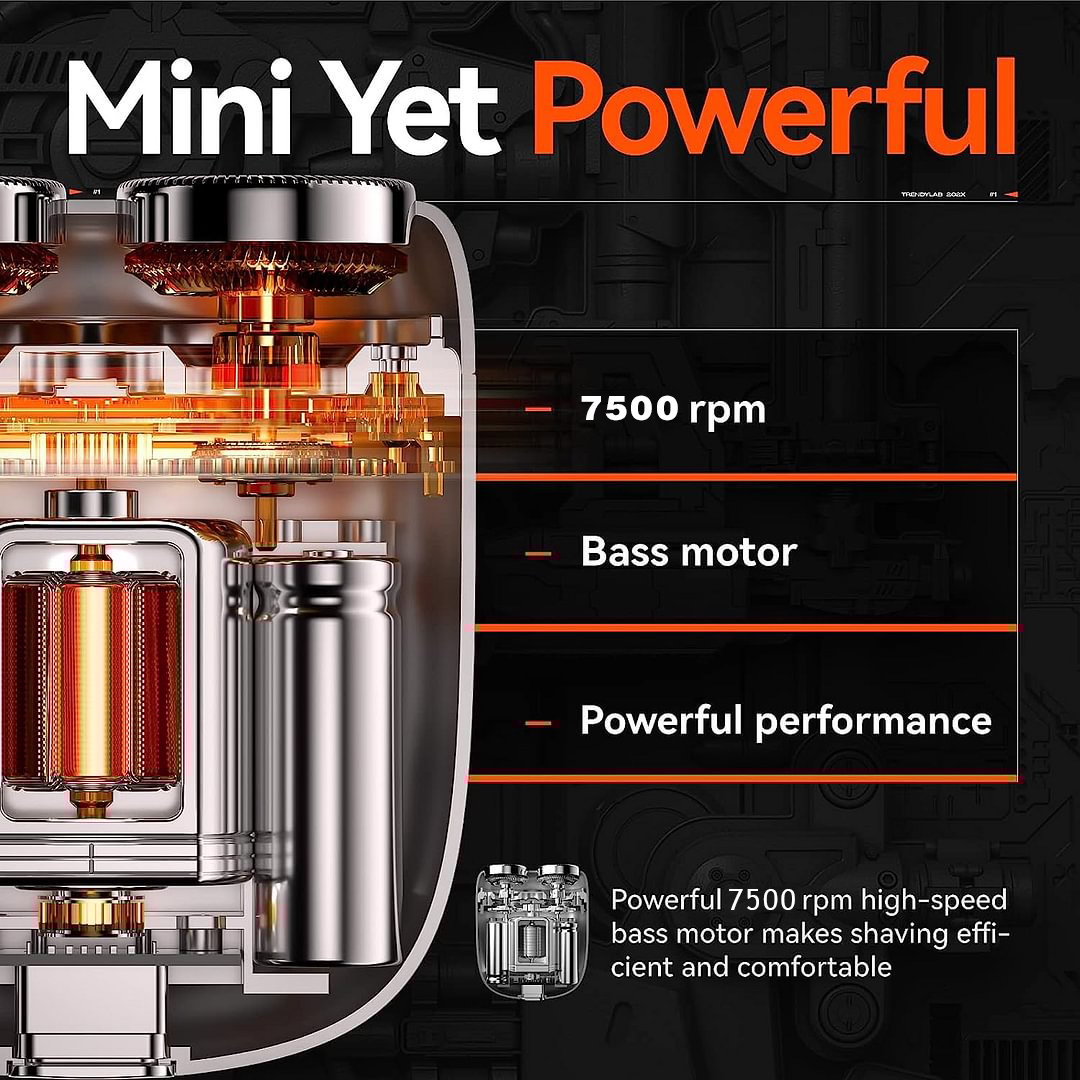 Rasoir Électrique Compact Premium